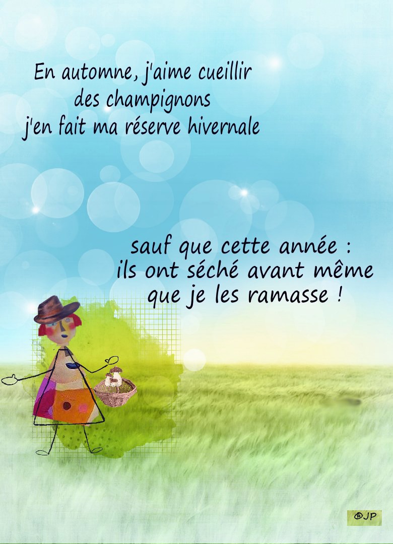 MES CARTES CHAMPIGNONS.jpg