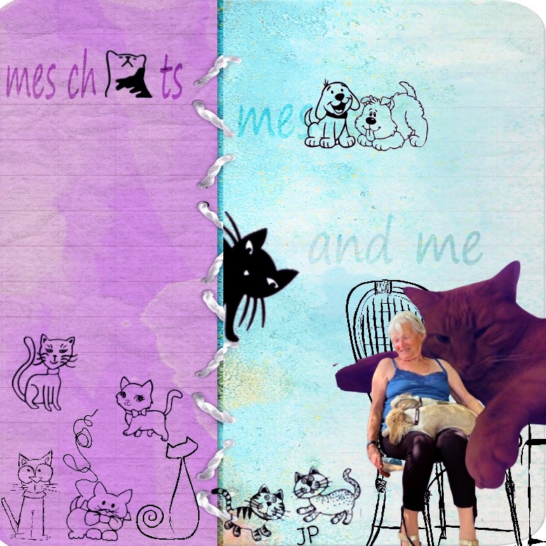 mes chats mes chiens...jpg
