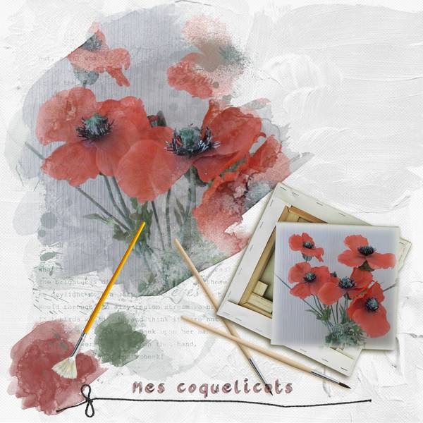 mes coquelicots
