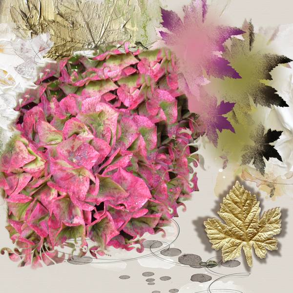 Mes dernières boules d'hortensias...