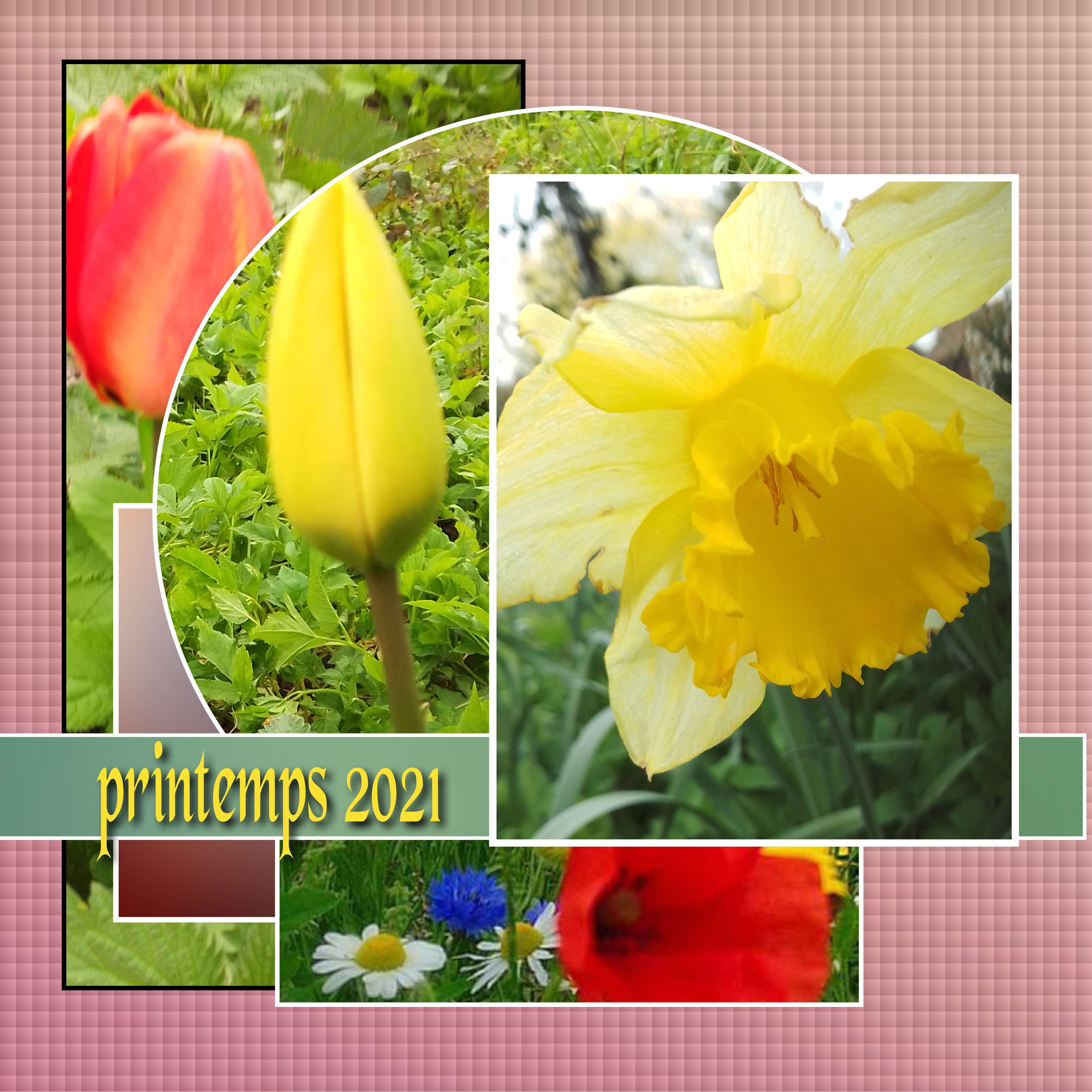 mes fleurs 2021 revue.jpg