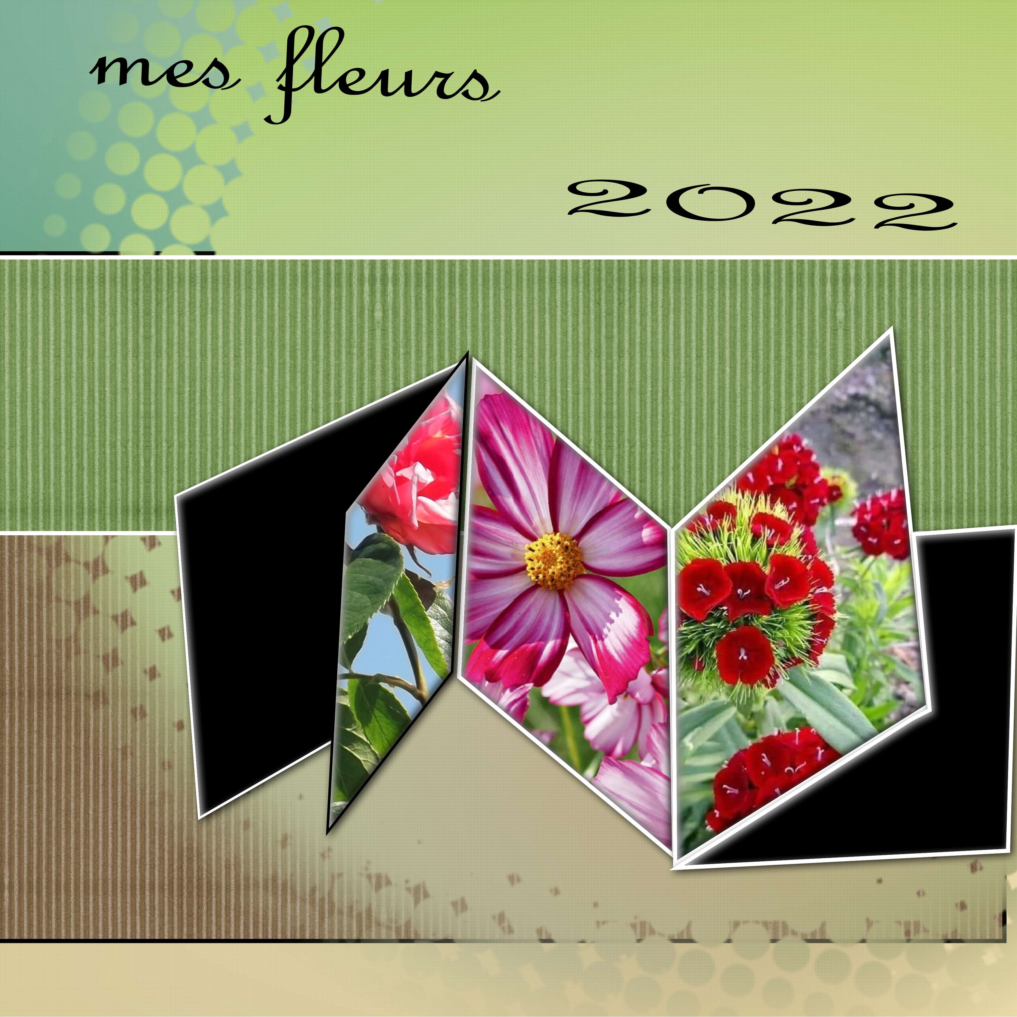 mes  fleurs  2022  revue.jpg