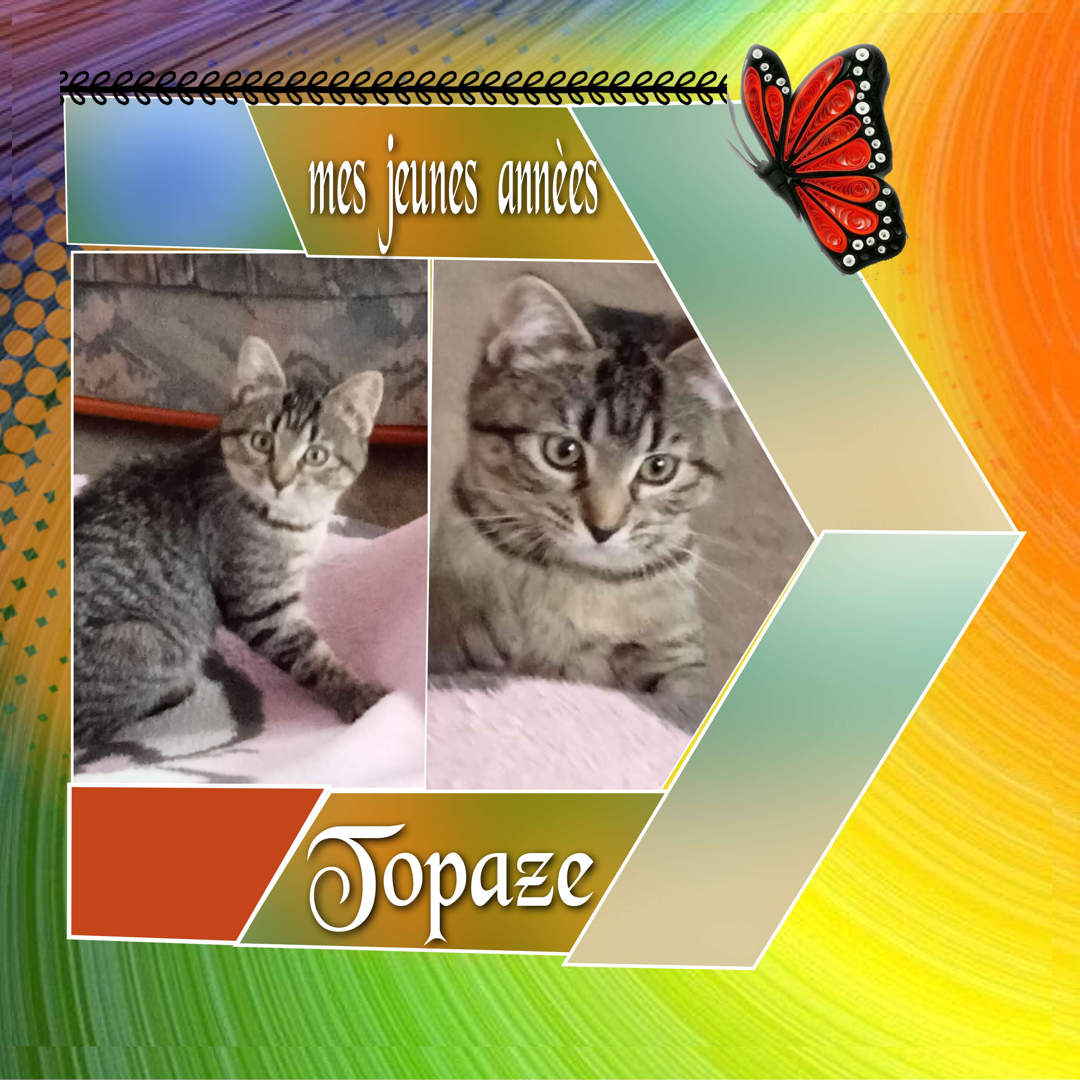 mes  jeunes  annees.jpg