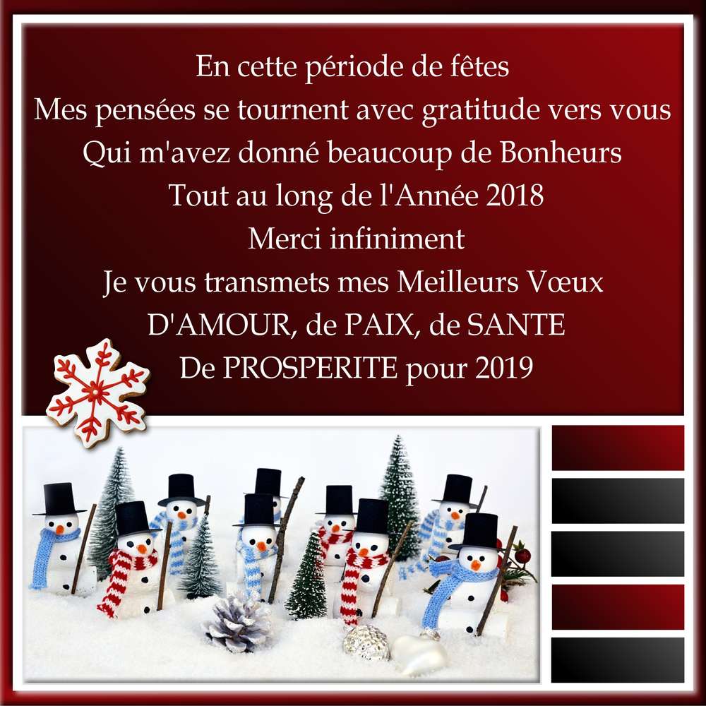 MES MEILLEURS VOEUX POUR 2019