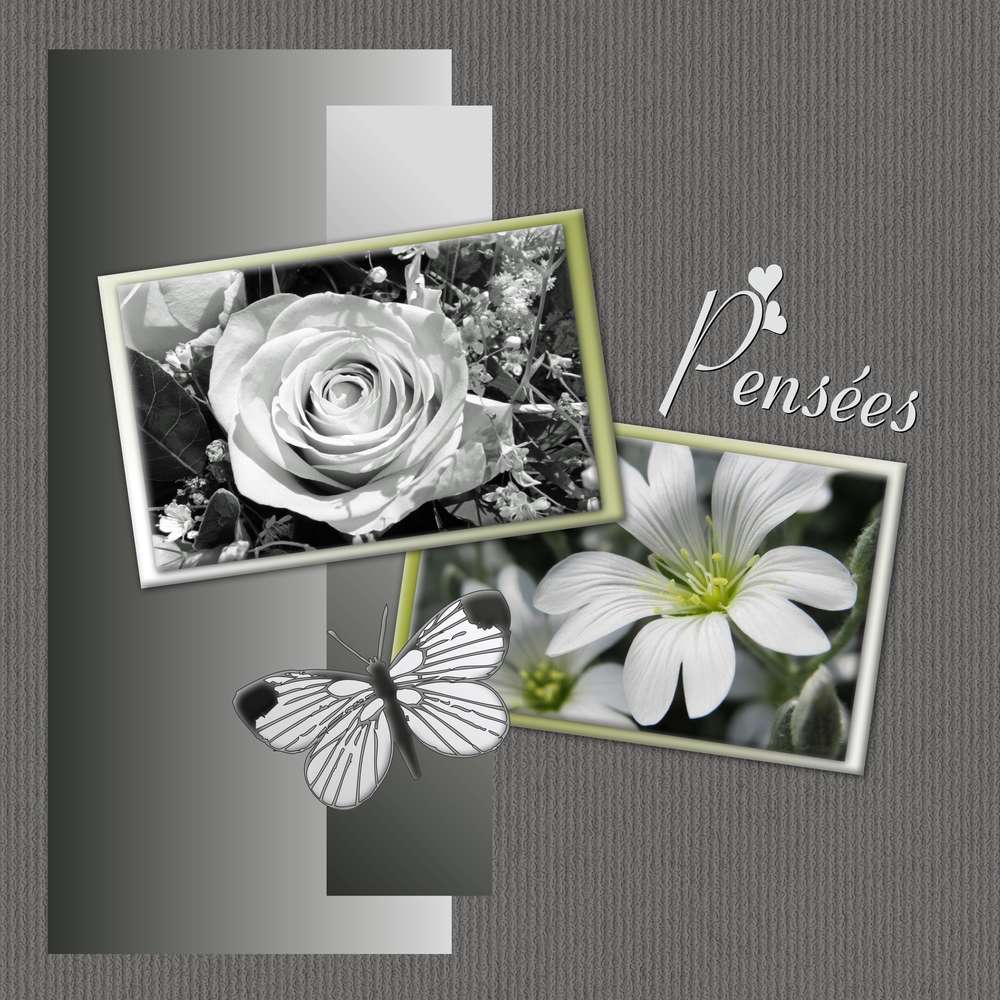 MES PLUS BELLES PENSEES D'AMOUR