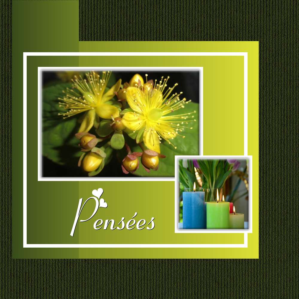 MES PLUS BELLES PENSEES D'AMOUR