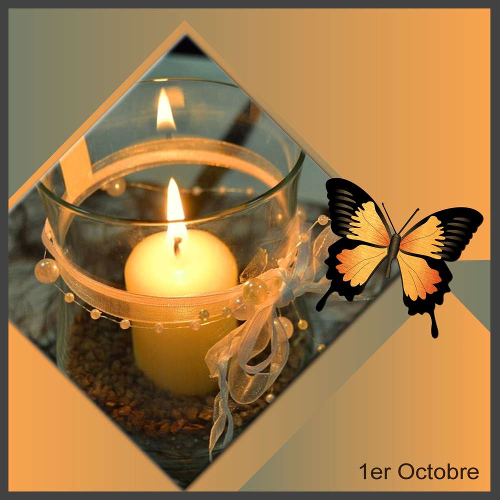 MES PLUS BELLES PENSEES D'AMOUR