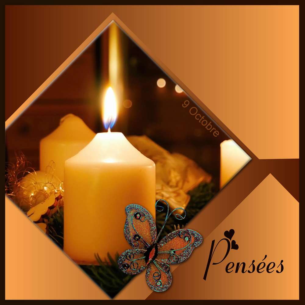 MES PLUS BELLES PENSEES D'AMOUR