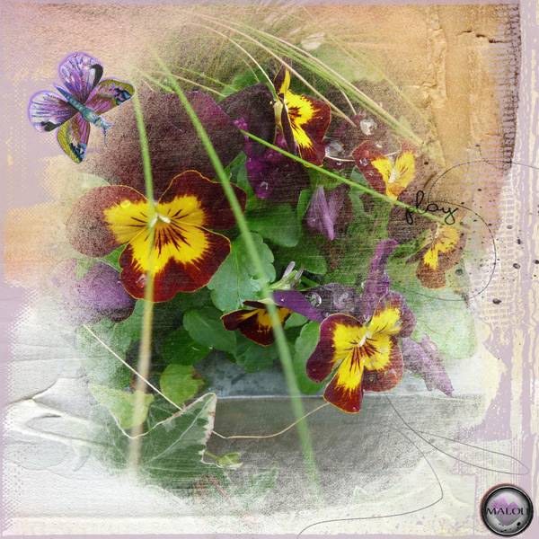 Mes potées d'automne