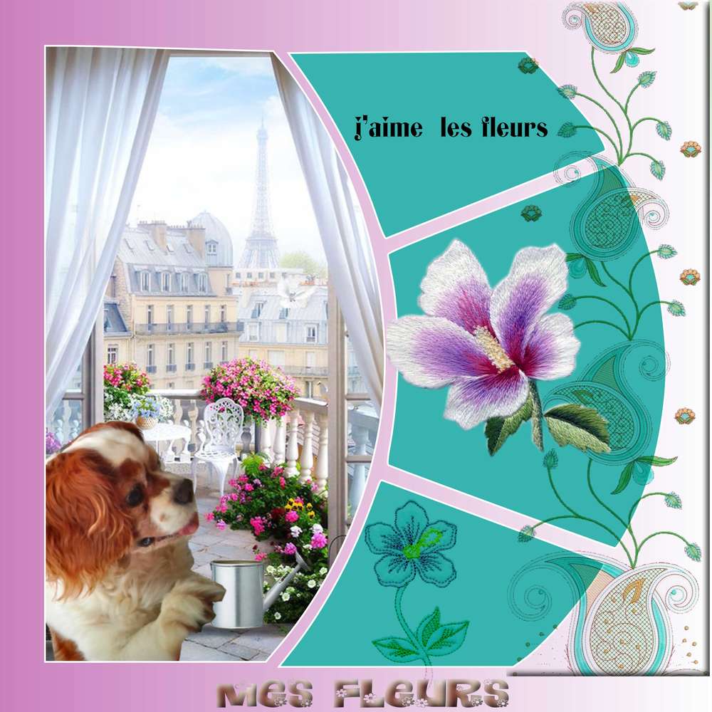 mes_fleurs3