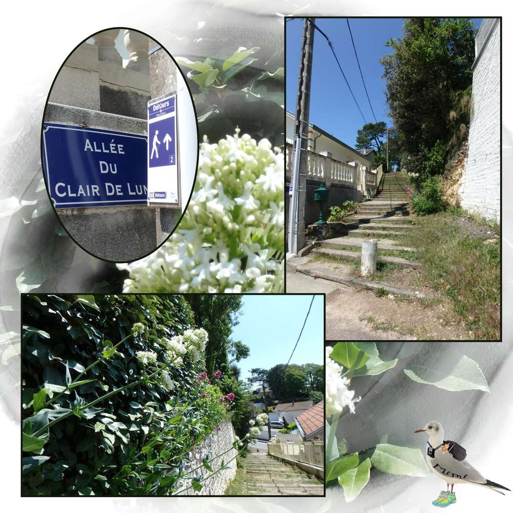 Meschers-all__e_du_clair_de_lune