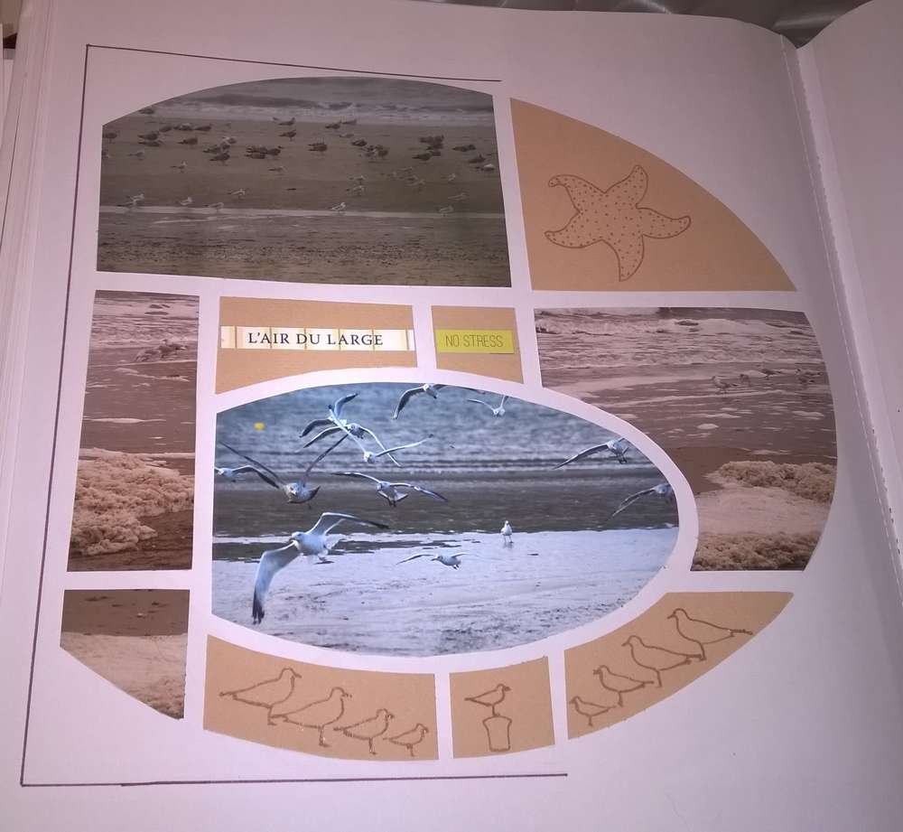 Mesdames...les mouettes