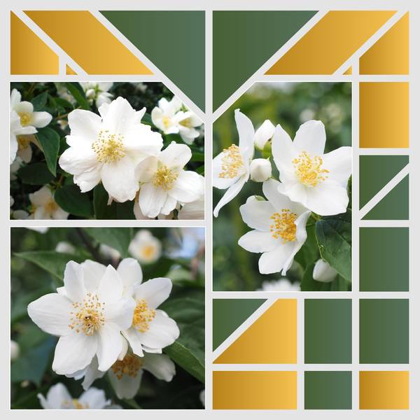 MICHELLE DE TOUT COEUR AVEC VOUS