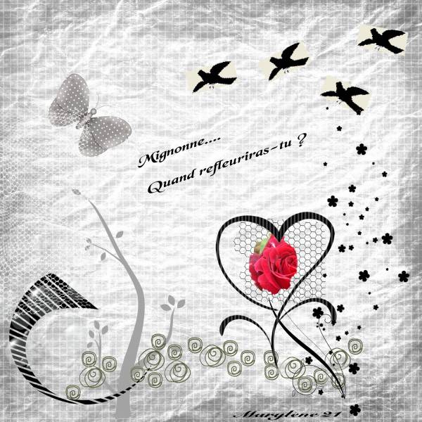 MIGNONNE - Défi BOUVIER