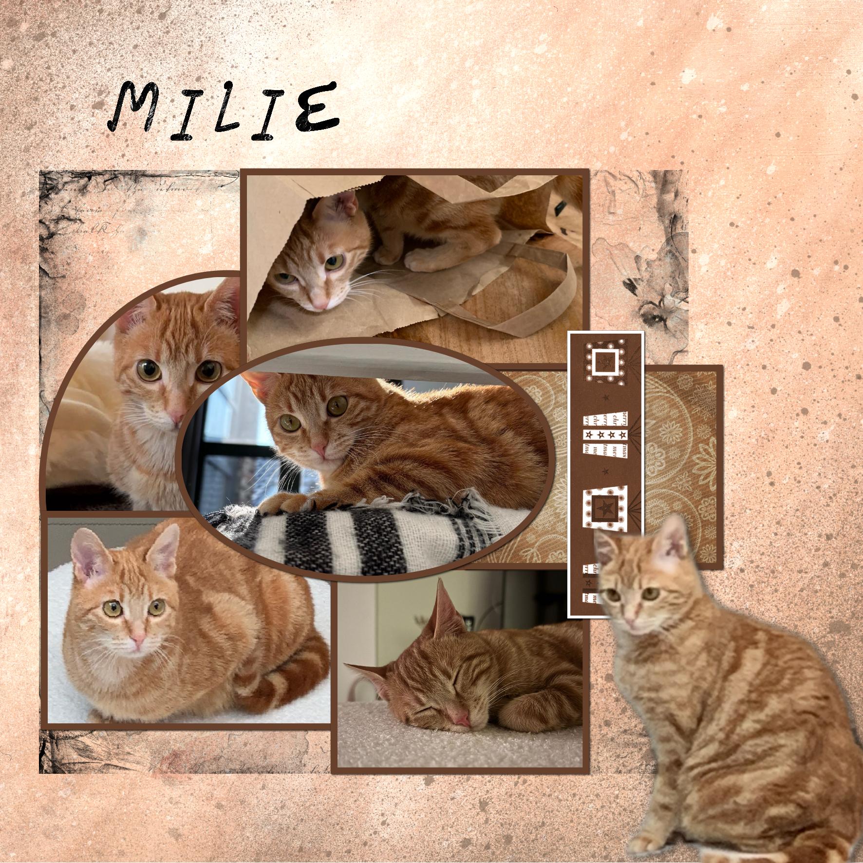 milie l'espiègle.jpg