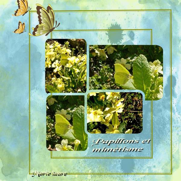 Mimétisme des papillons