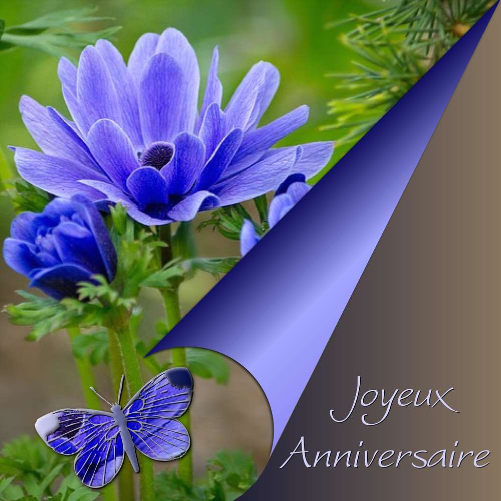 MIMI (COIFFETEAU) - JOYEUX ANNIVERSAIRE
