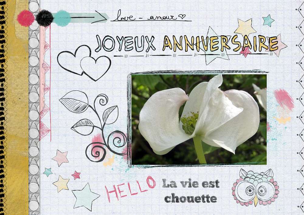 MIMIDESAUJON  - JOYEUX ANNIVERSAIRE