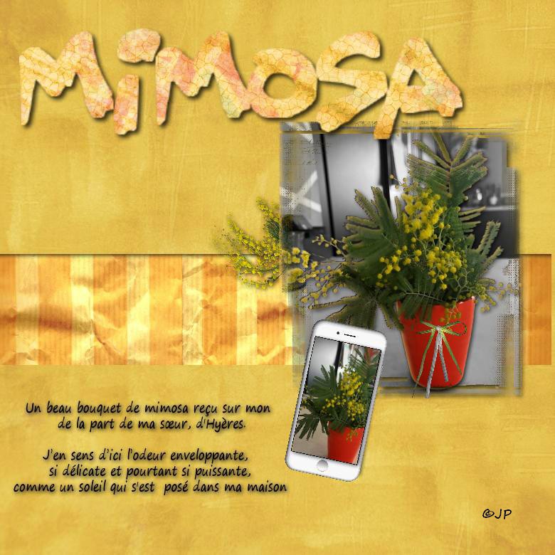 mimosachallenge .jpg