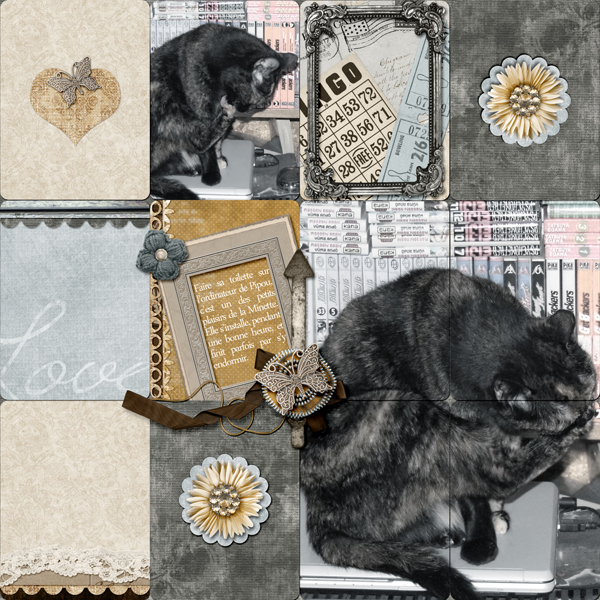 Minette à sa toilette