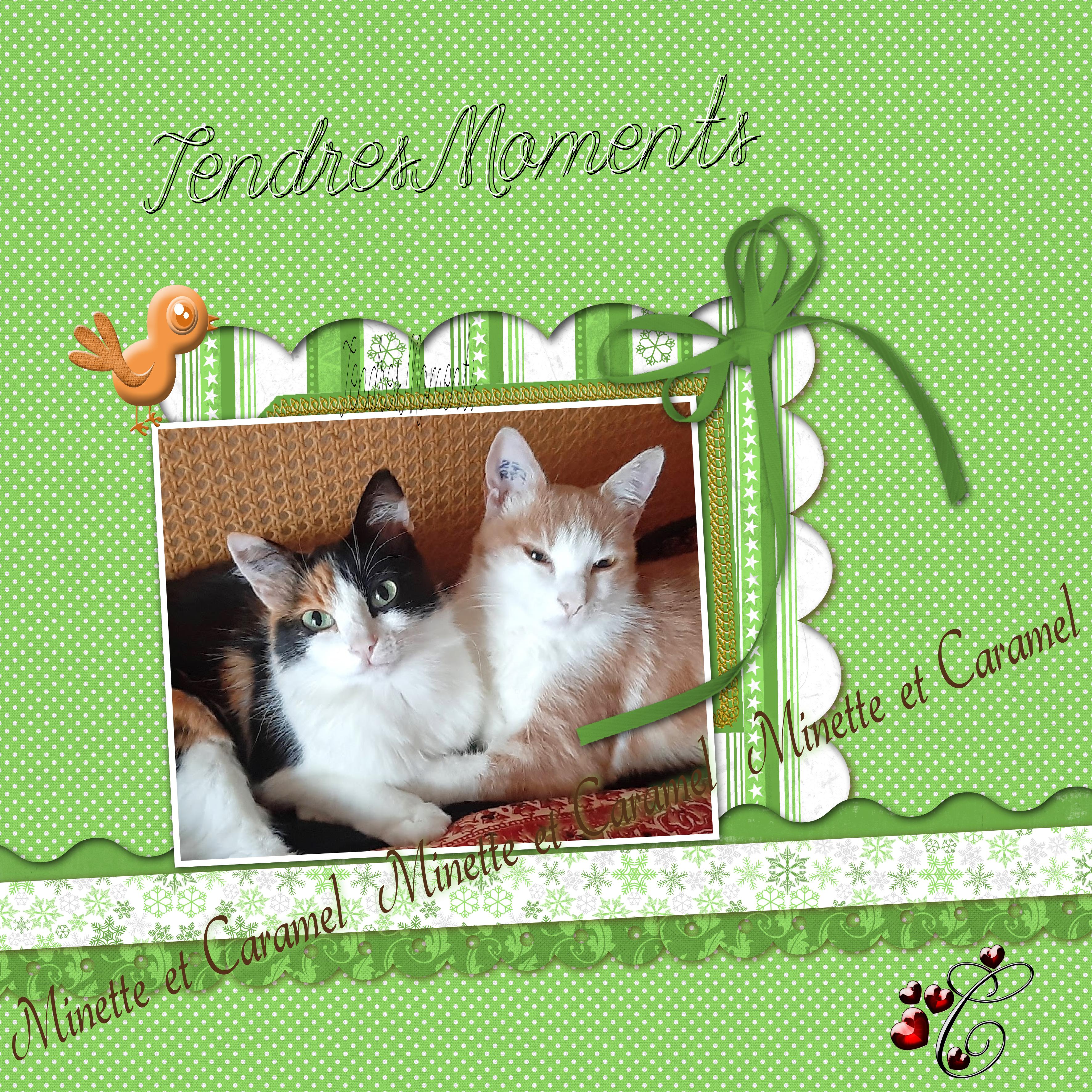 Minette et Caramel.jpg