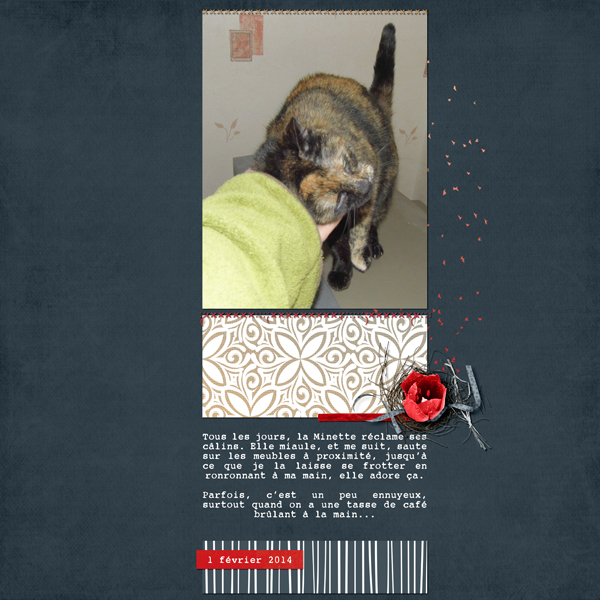 Minette fait des calins