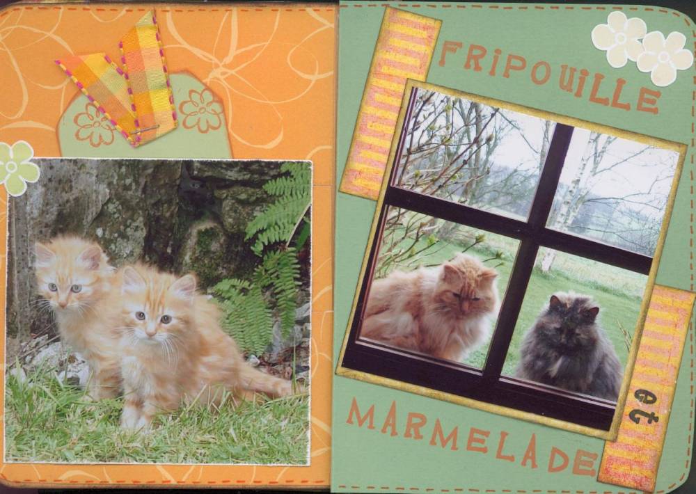Mini album (suite) :Fripouille et Marmelade