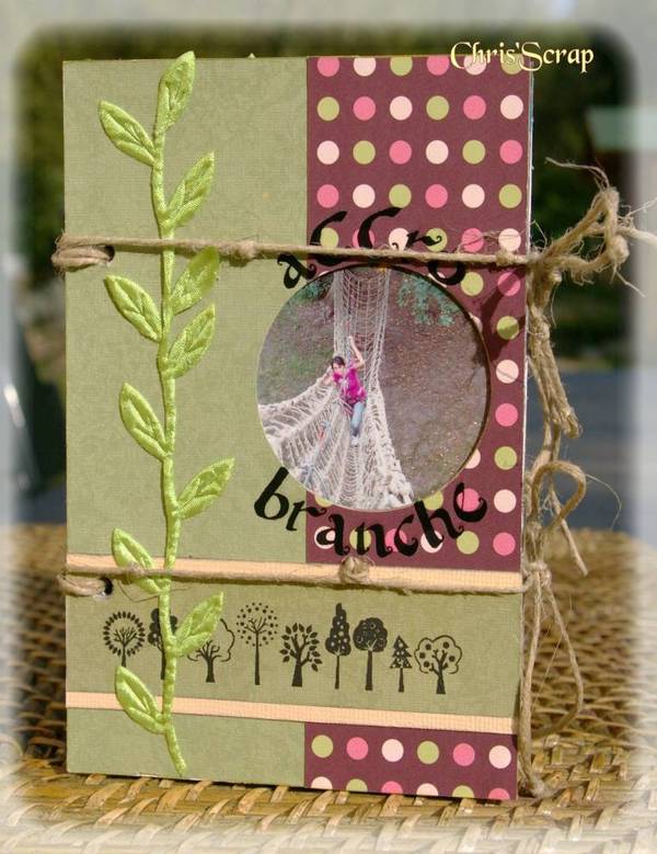 mini {entre ciel et terre} : une journée accrobranche