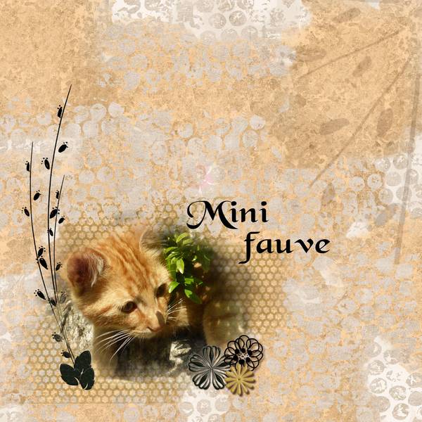 Mini fauve