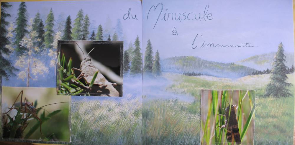 Minuscule ou immensité ?