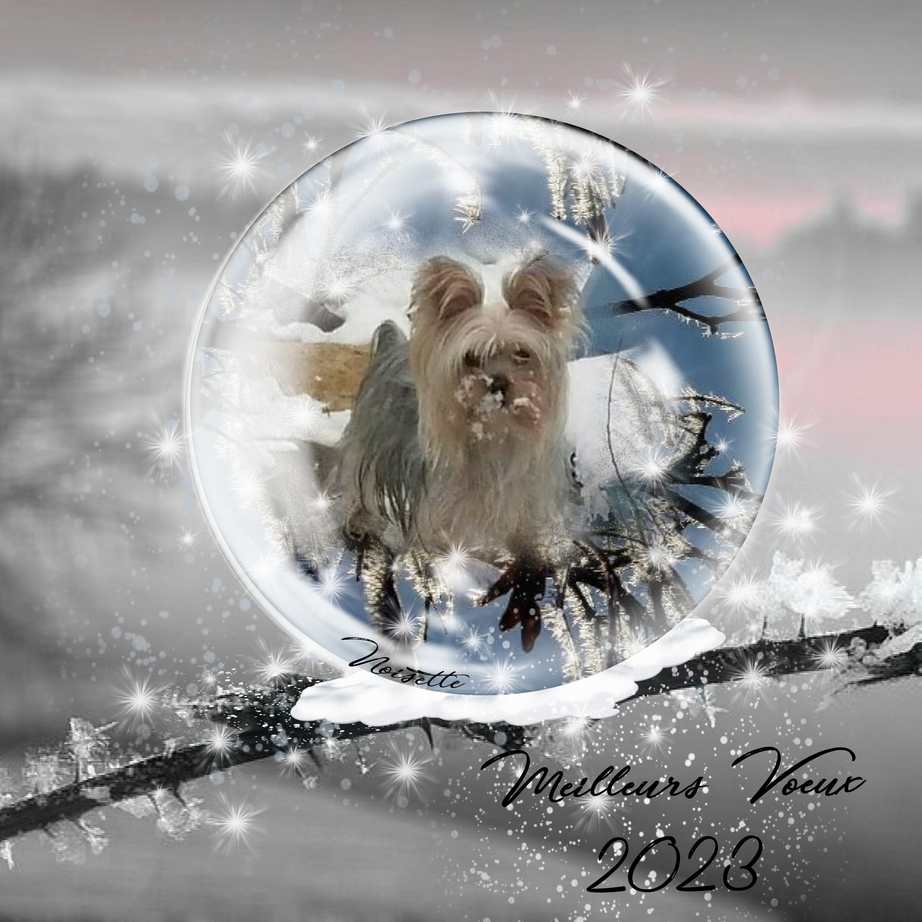 mireille boule a neige 2023.jpg