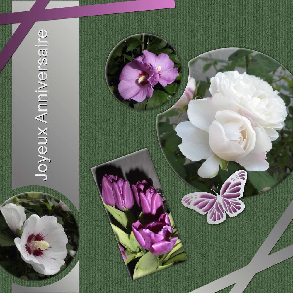 MISSDU29 - JOYEUX ANNIVERSAIRE