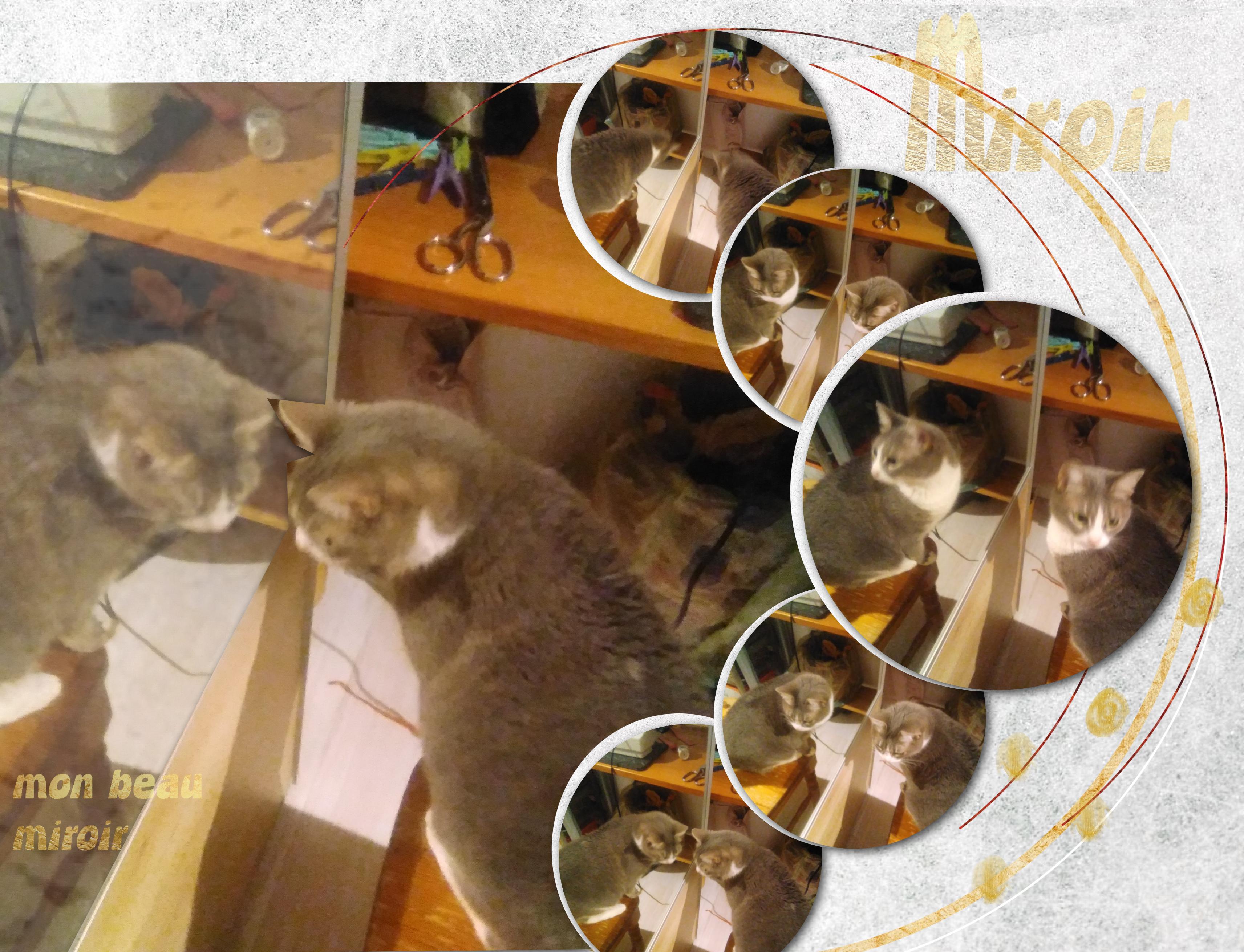 mlm BILLET D'ABSENCE