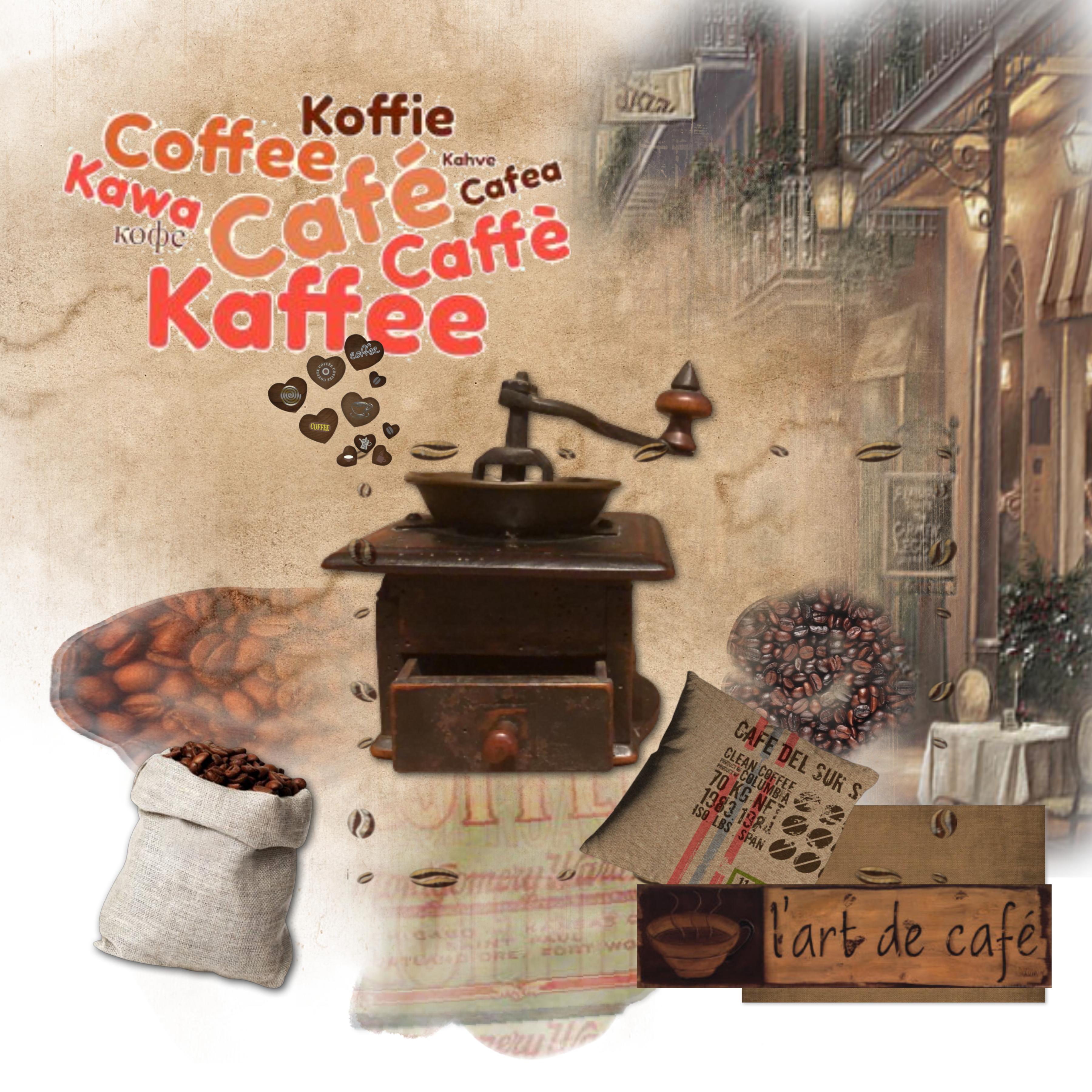 mlm Café photo Marie Rose