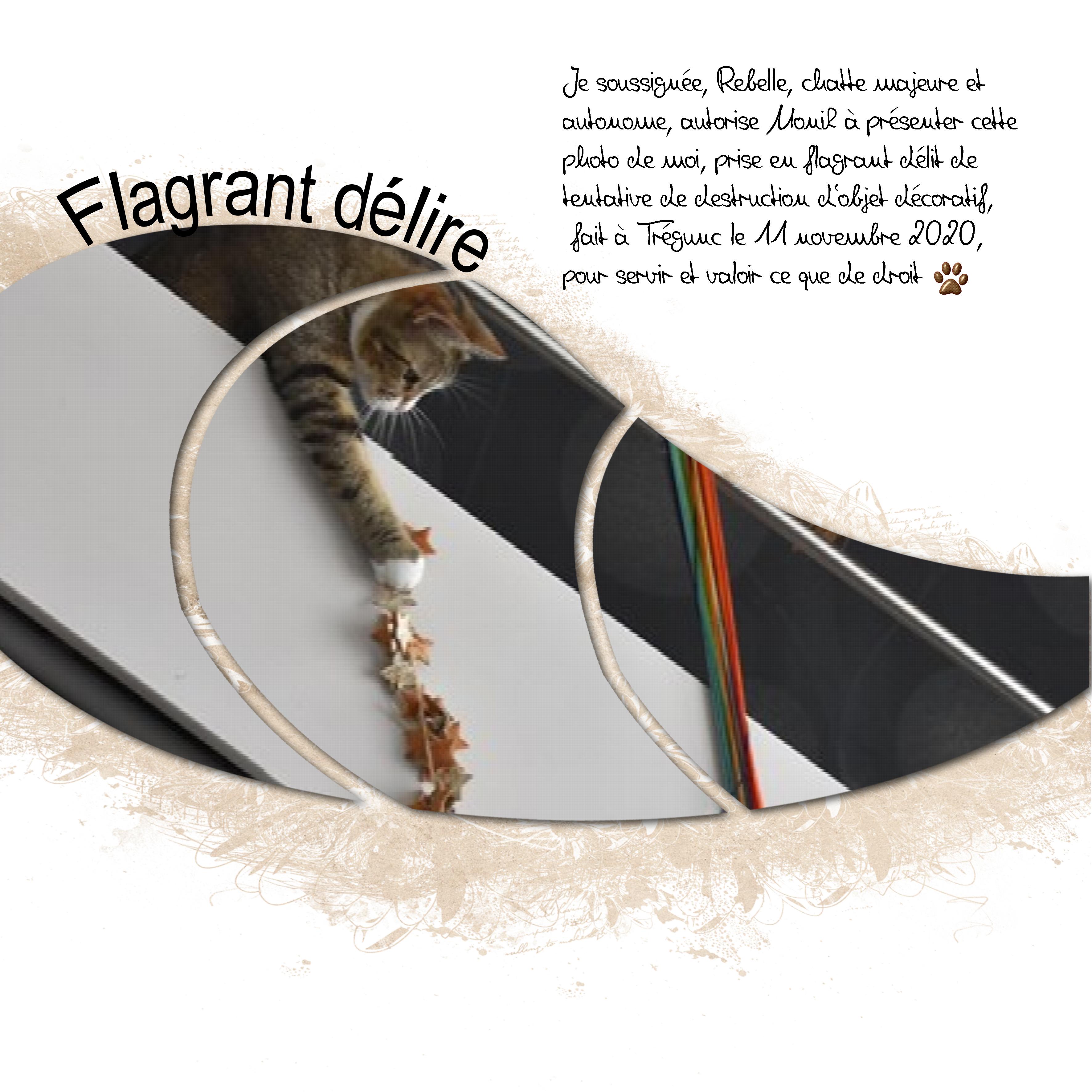 mlm CHALLENGE PHOTO n°2