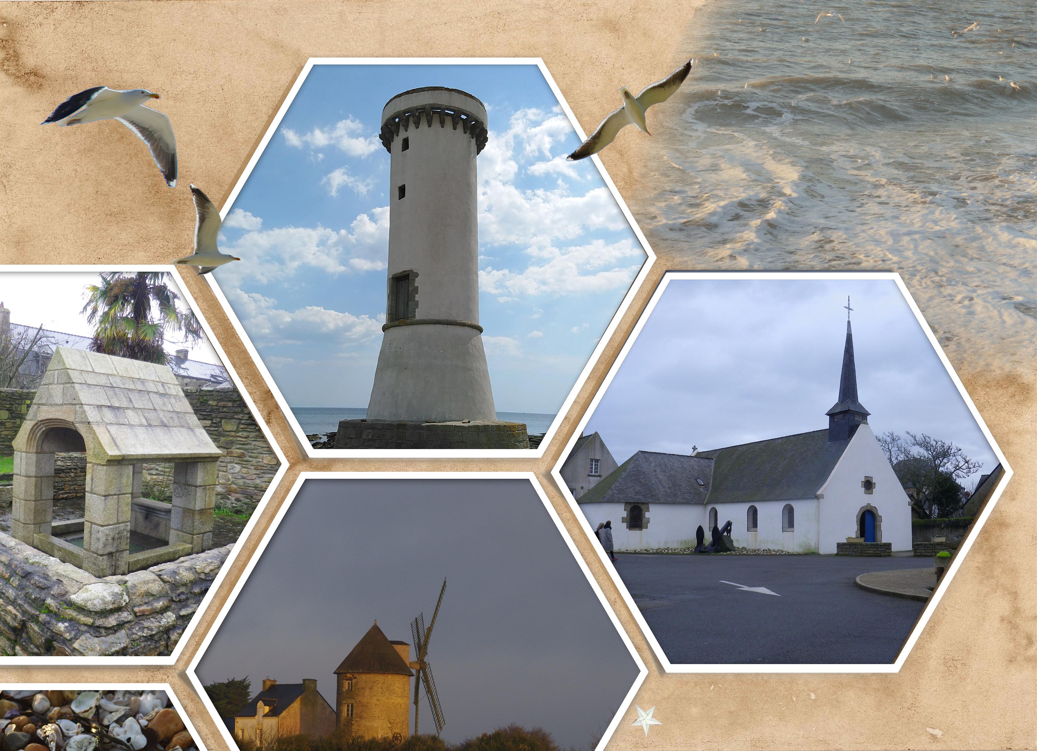 mlm DAMGAN Version 2