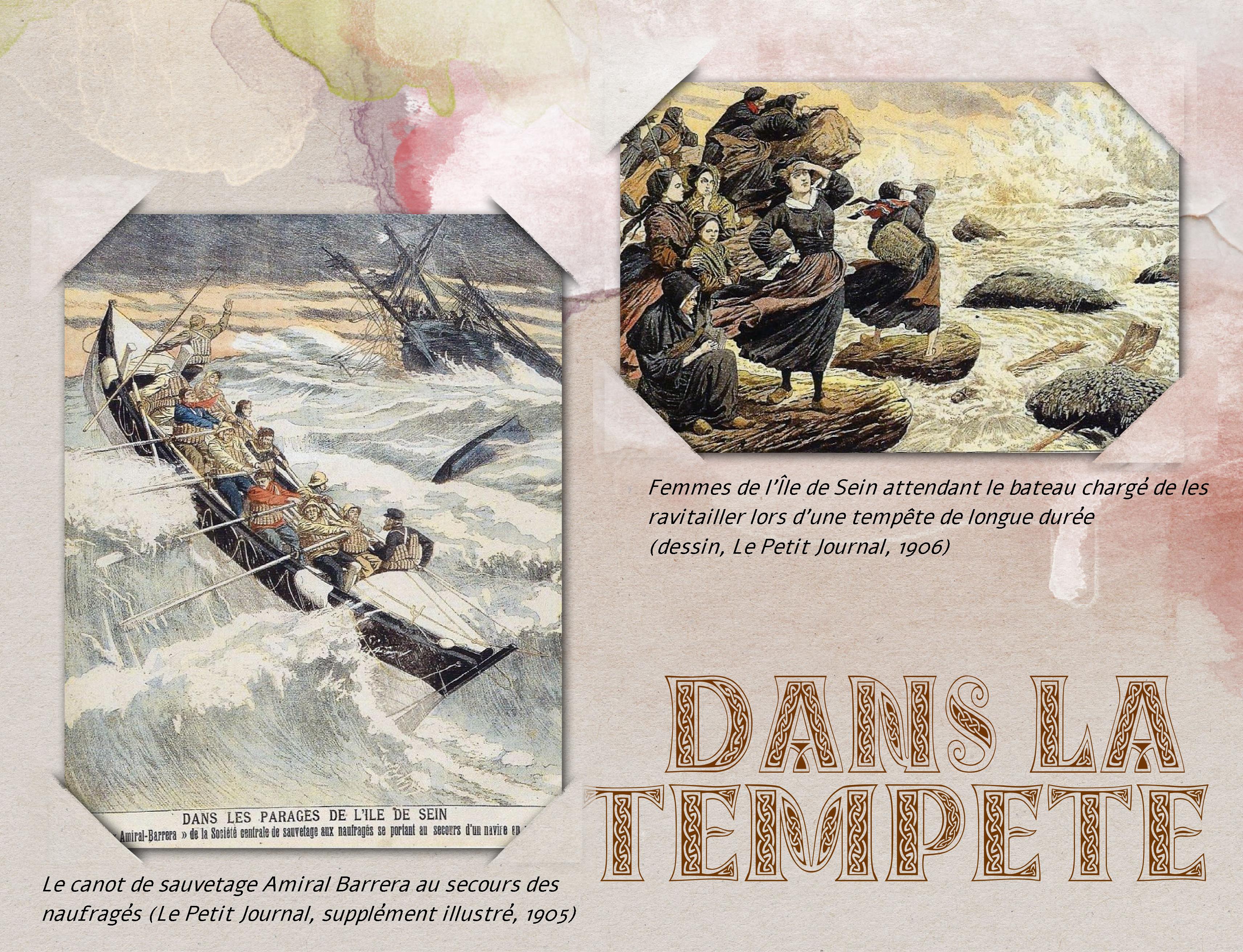 mlm Dans la tempête