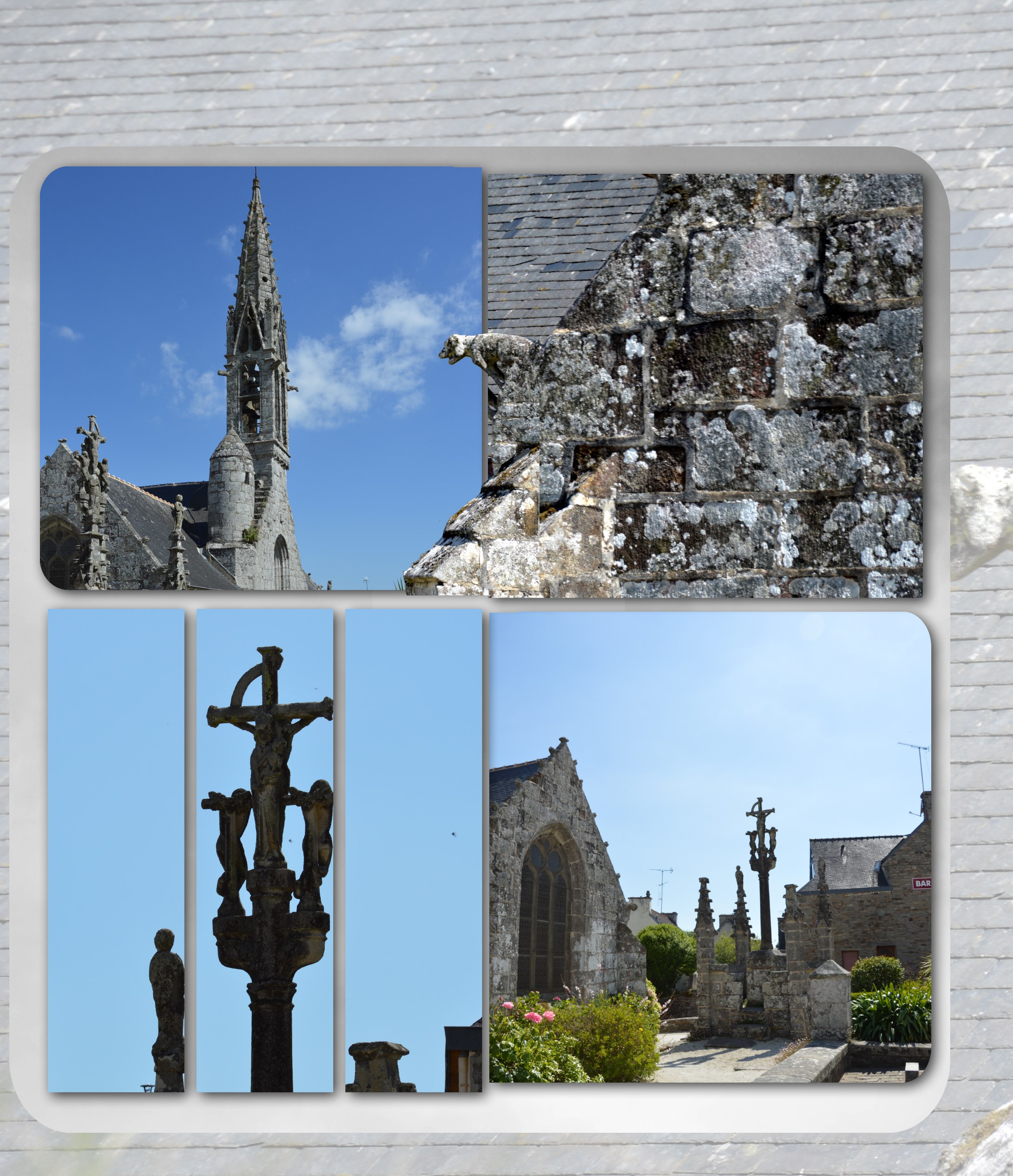 mlm LA FORET FOUESNANT