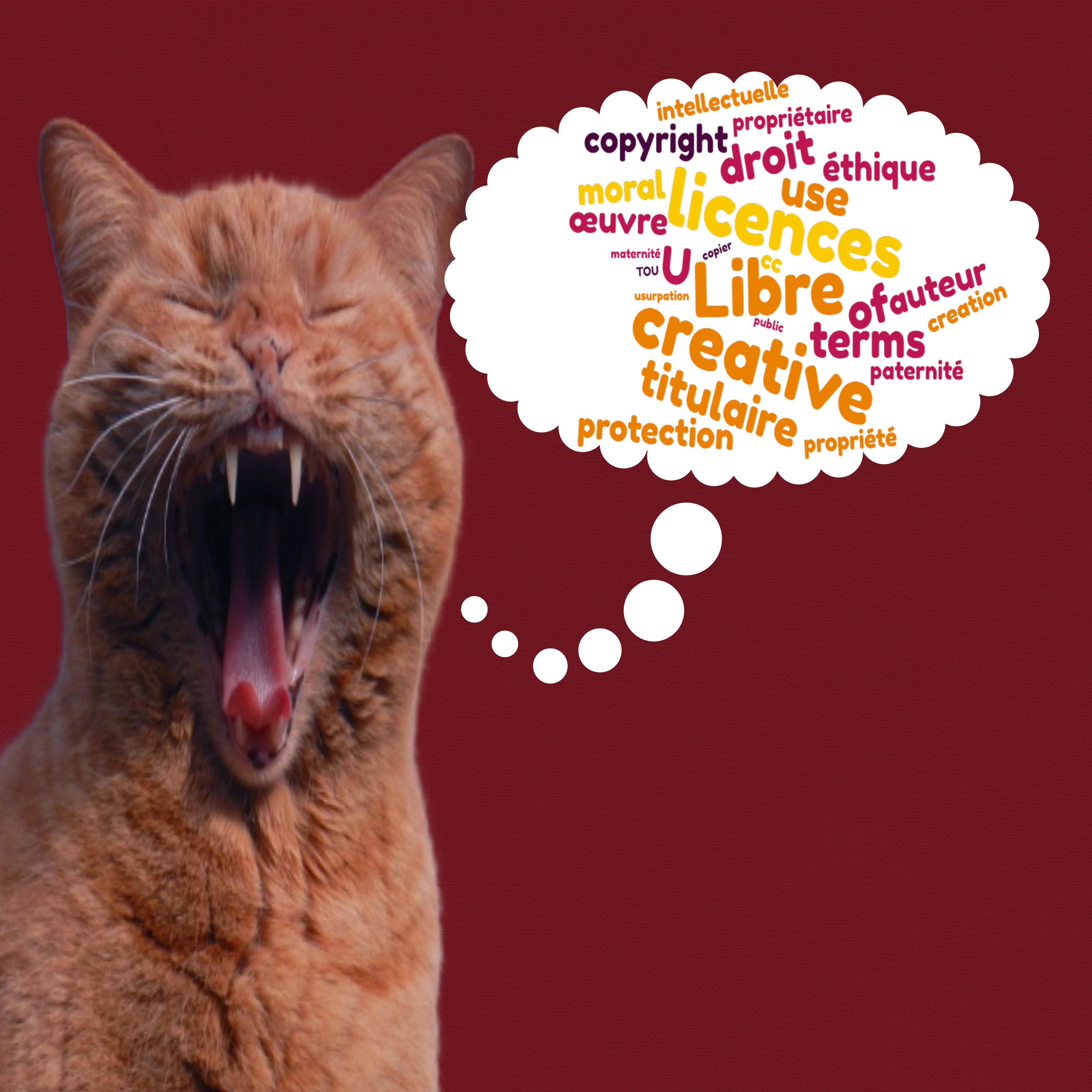 mlm LE CHAT copyright