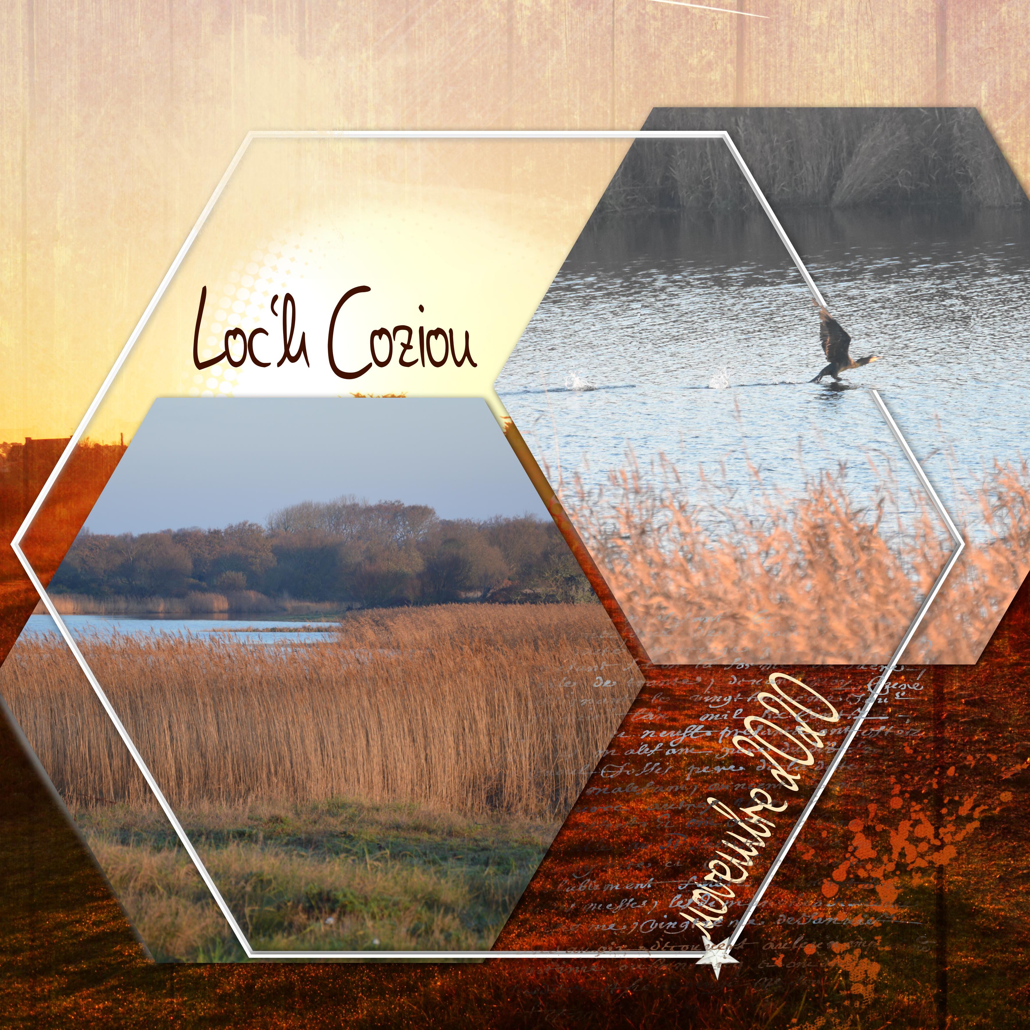 mlm Propo MARIE ROSE