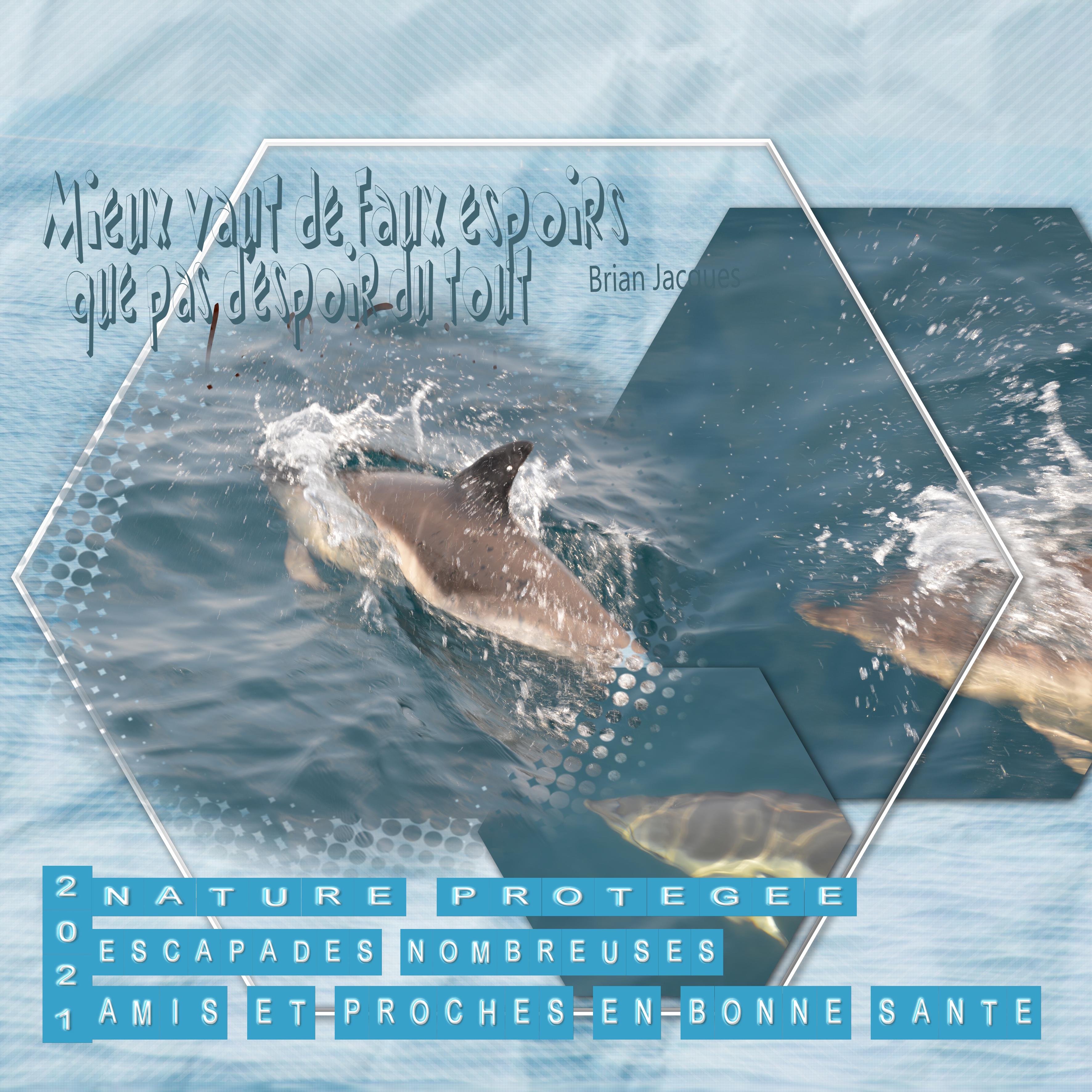 mlm thème CE QUE JE SOUHAITE