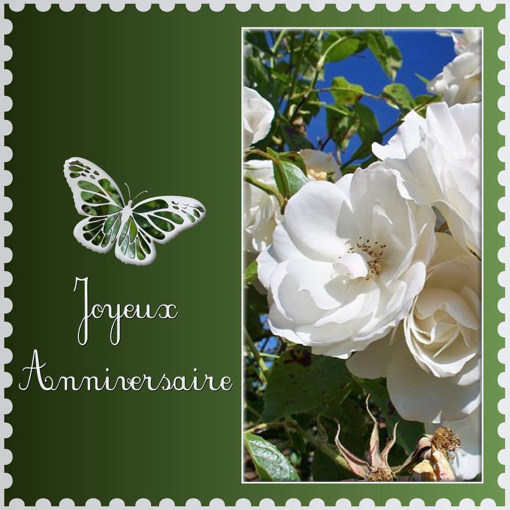 MO77MO - JOYEUX ANNIVERSAIRE