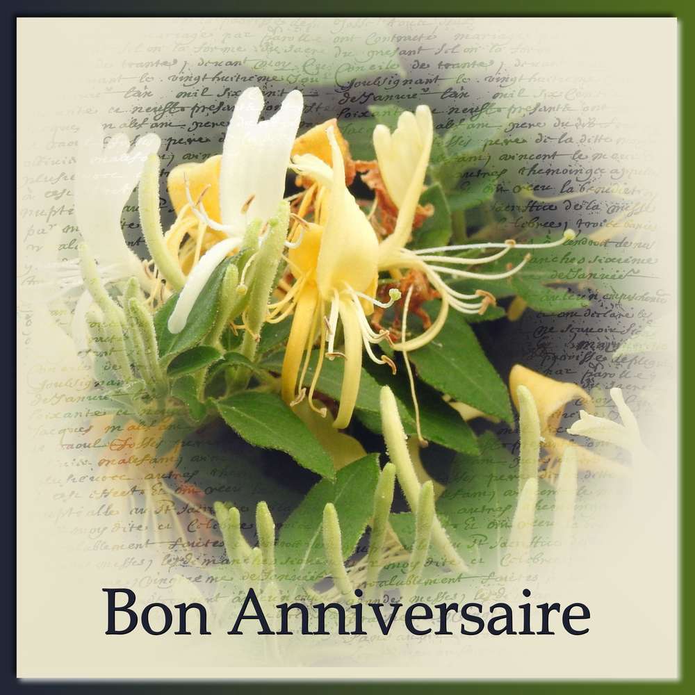 Mo77Mo (MONIQUE) - BON ANNIVERSAIRE