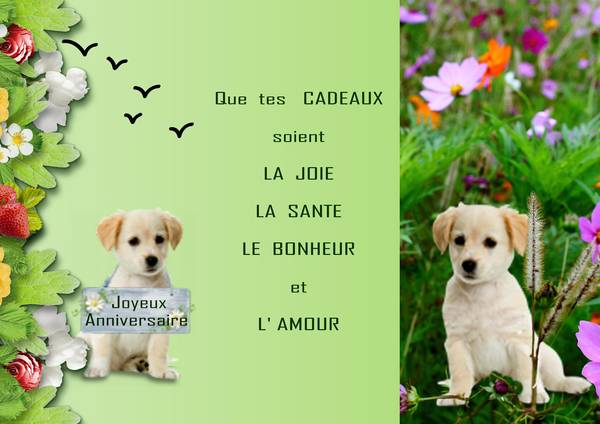 MODELE D'UNE CARTE D'ANNIVERSAIRE-PLIAGE EN 3 PARTIES