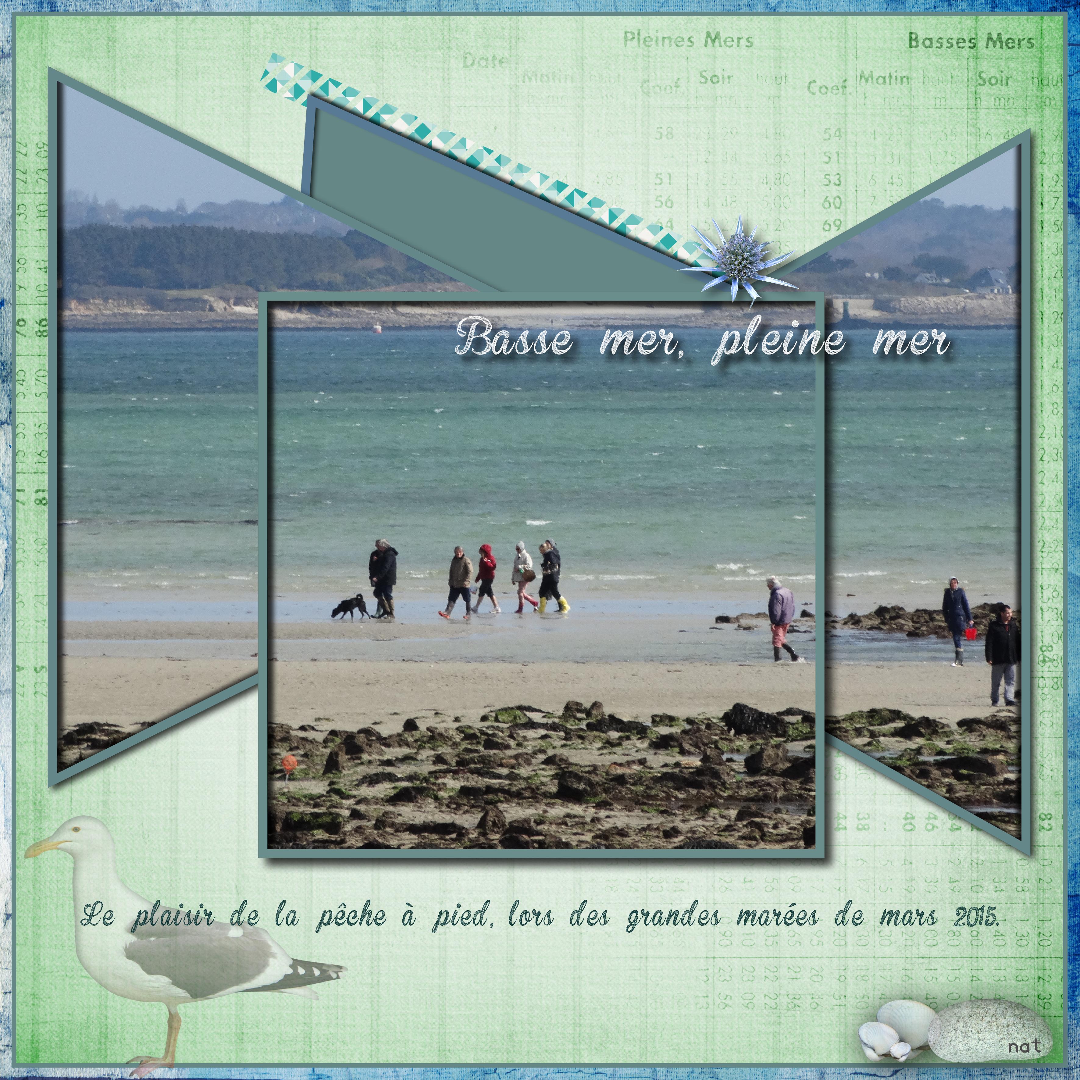 modèle giecat 07-2015.jpg