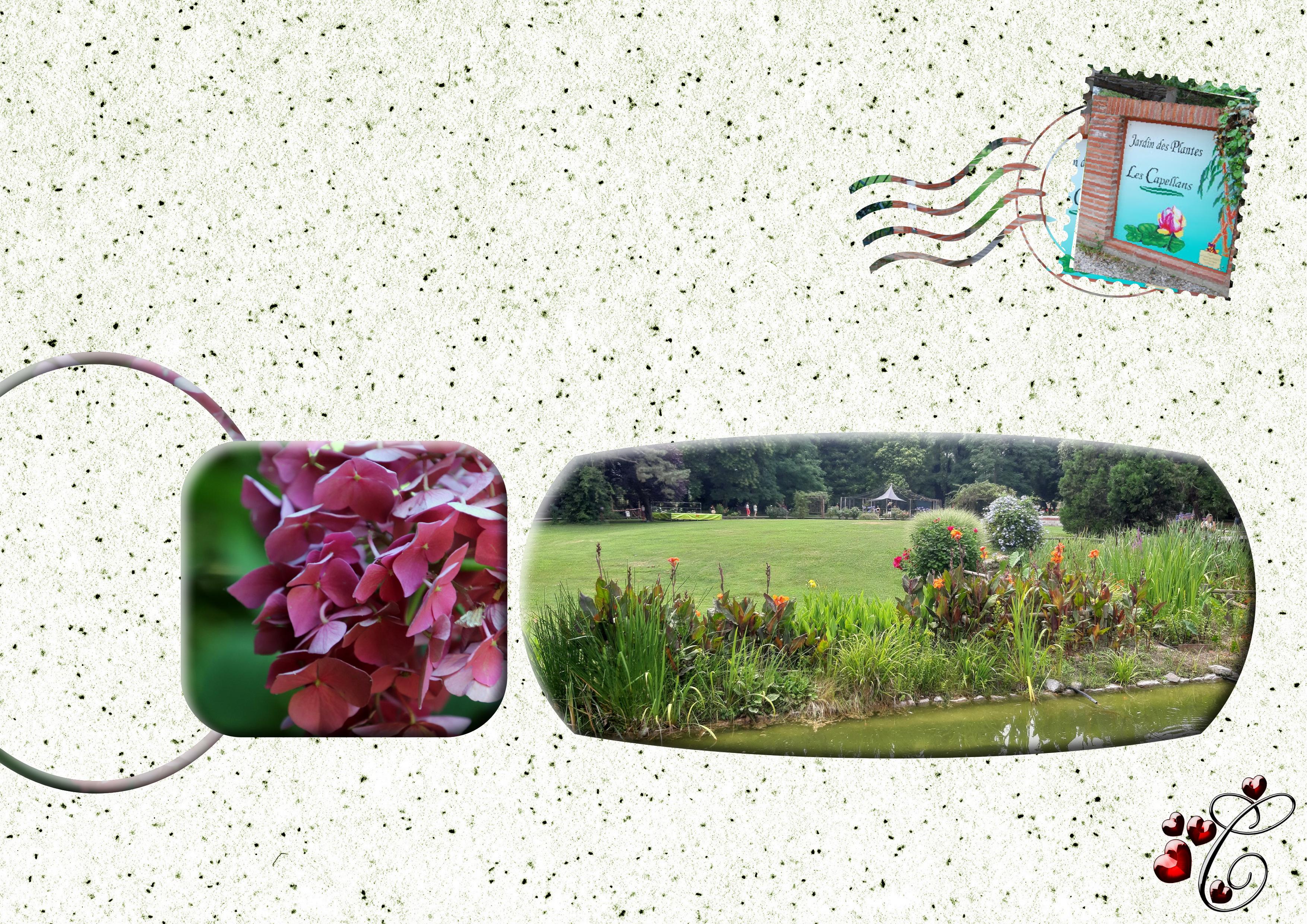 modèlestudioscrap 01 09 2020.jpg