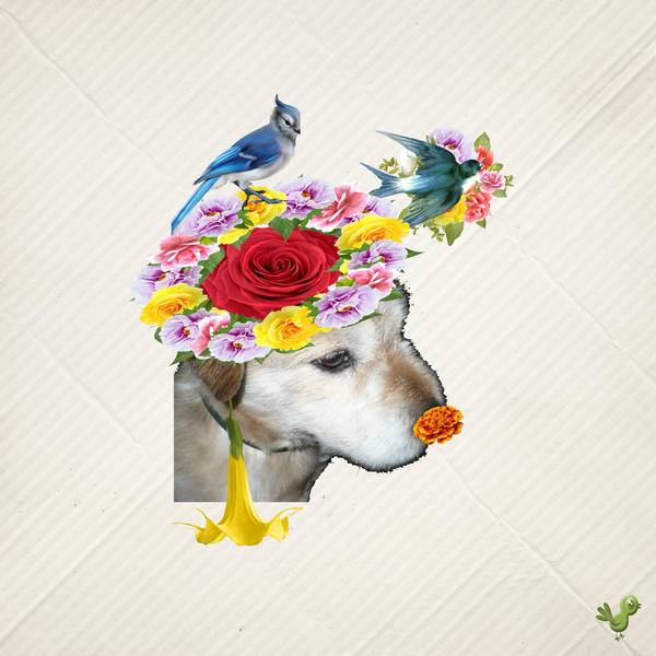 modeste participation de tichien...