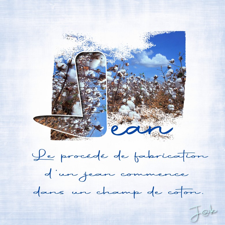 moison clean jean refait.jpg