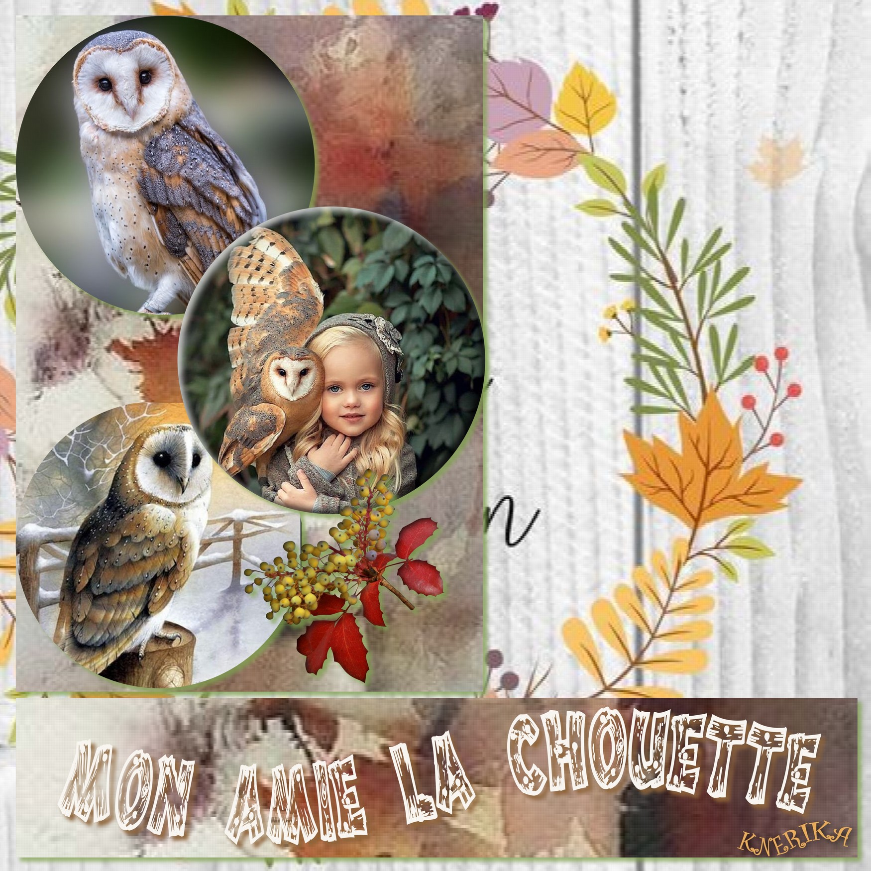 mon amie la chouette, Anne Marie.jpg