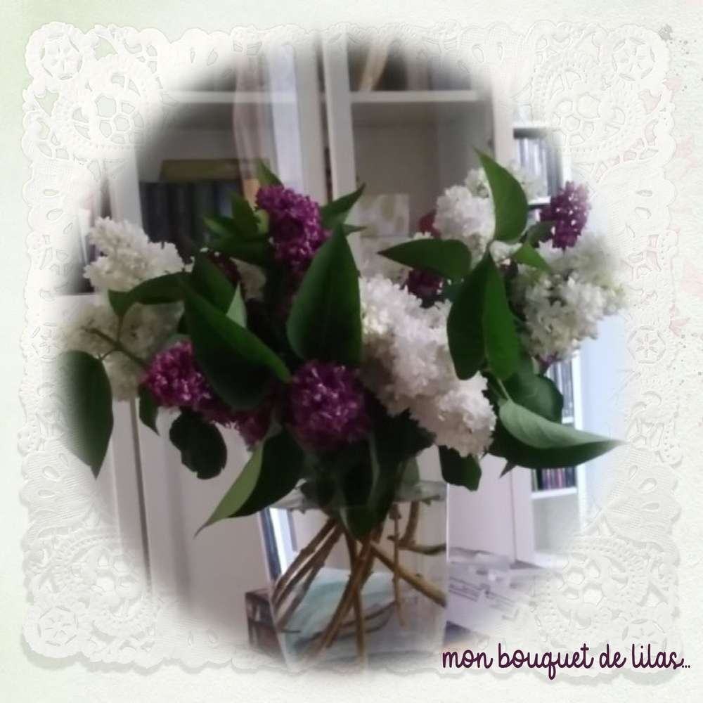 mon bouquet de lilas